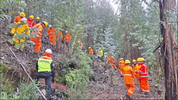 Personal técnico de ENERPA es capacitado en Técnicas de marchas pedestres